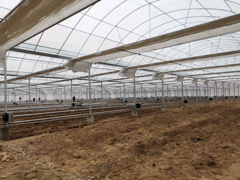 Hydroponic Growing Systems Greenhouse Film Farming Agricultural Greenhouses