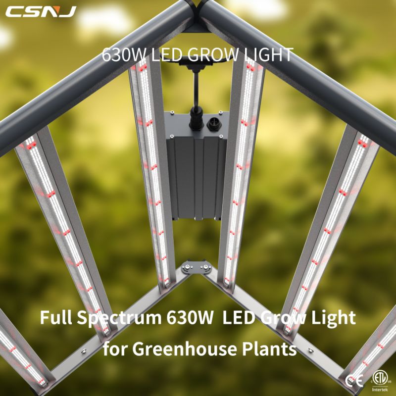 2020 New Design 600W LED Plant Grow Lights for Herbs Growing