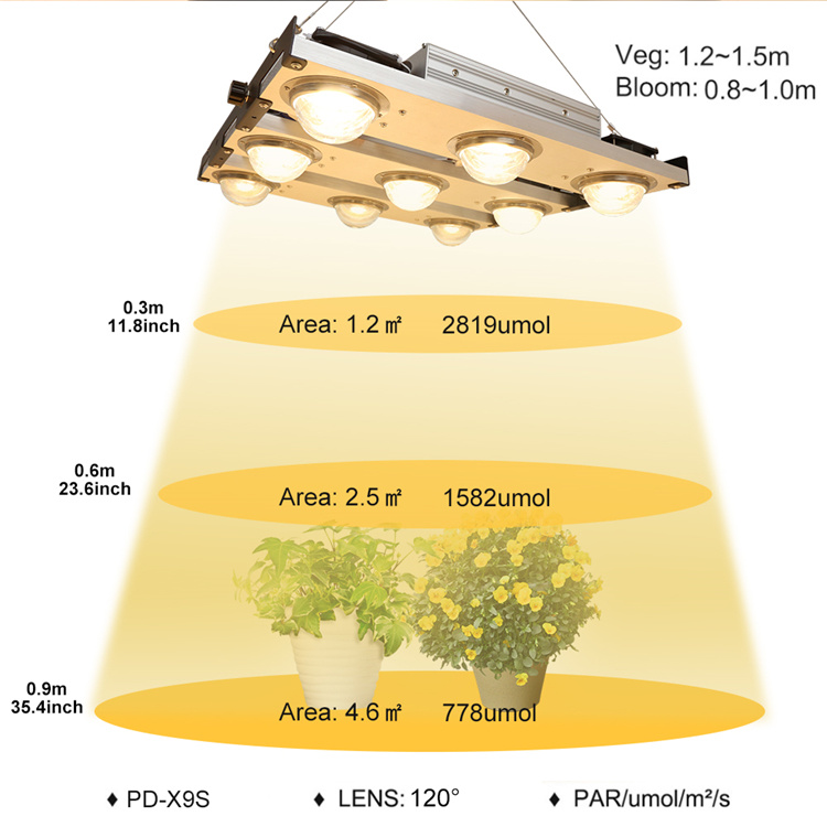 High Power High Ppfd LED Grow Light 1000W Grow Lights Cxb3590 Full Spectrum LED Grow Light for Vertical Farming