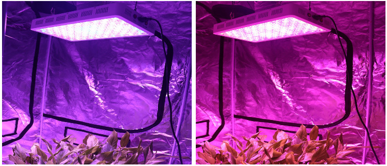 Limini Grow System High Power 1200W LED Grow Light