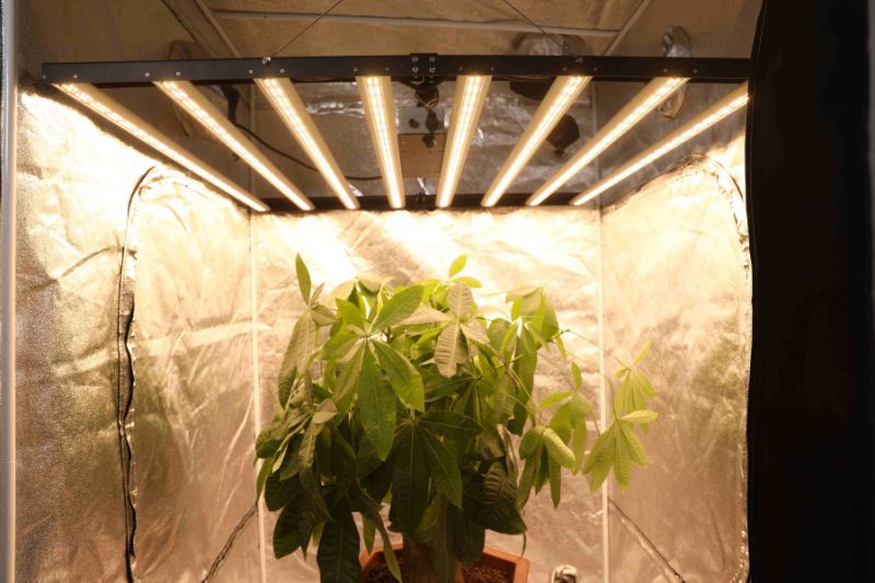 New Arrival Foldable 640W 1000W Full Spectrum LED Grow Lights