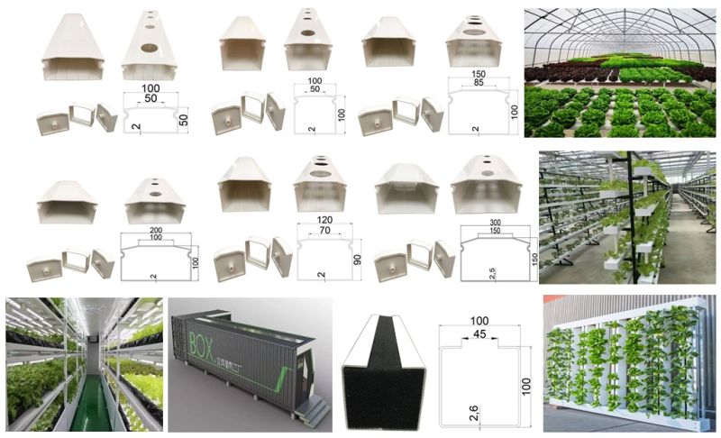 Multi Span Greenhouse/Large Size Hydroponic System to Grow Leafy Plants