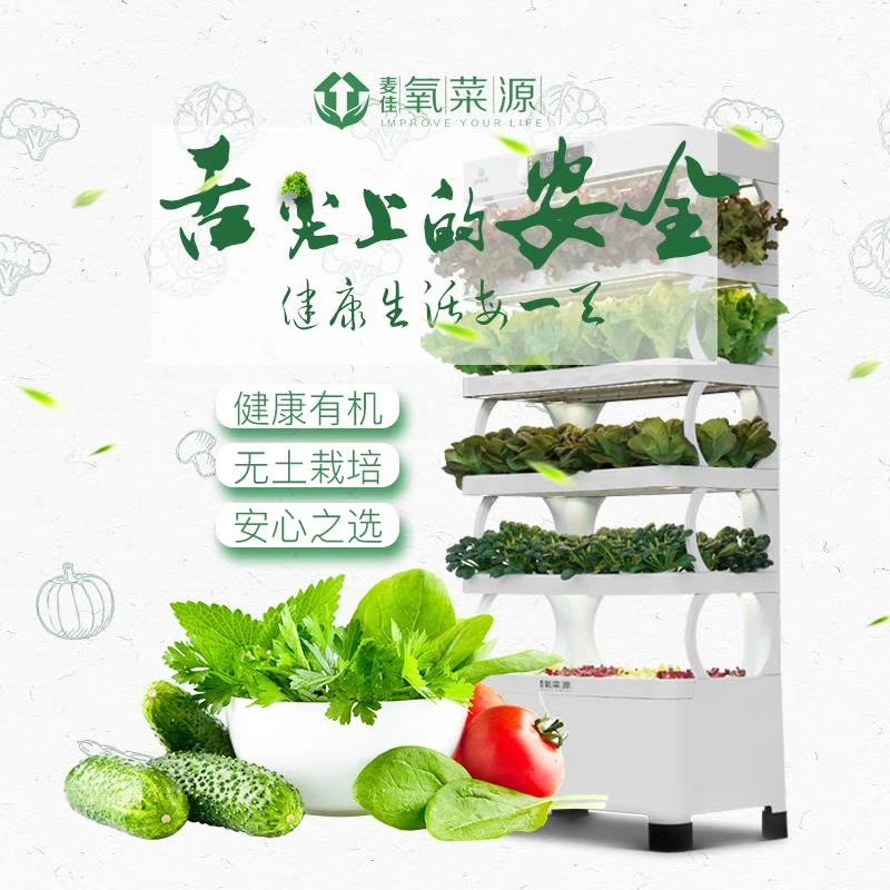 Eco-Friendly Commercial Hydroponics Systems Soilless Cultivation Vegetable Seedling