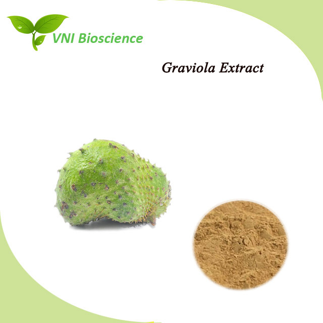 ISO SGS Certified Annona Muricata Plant Extract/Soursop Plant Extract/Graviola Extract