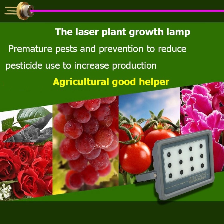 New Product High Power Laser Light Plant Grow Lamp for Indoor Indoor Planting Lamp