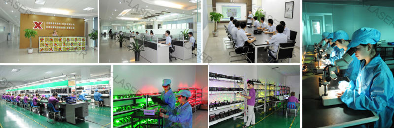 New Product High Power Laser Light Plant Grow Lamp for Indoor Indoor Planting Lamp