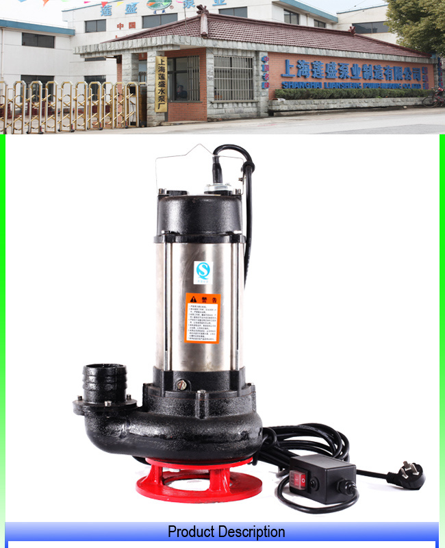 High Flow Vertical Cast Iron Single Stage Sewage Pump