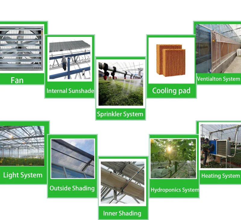 Plastic Small Film Greenhouse with Hydroponics Planting System