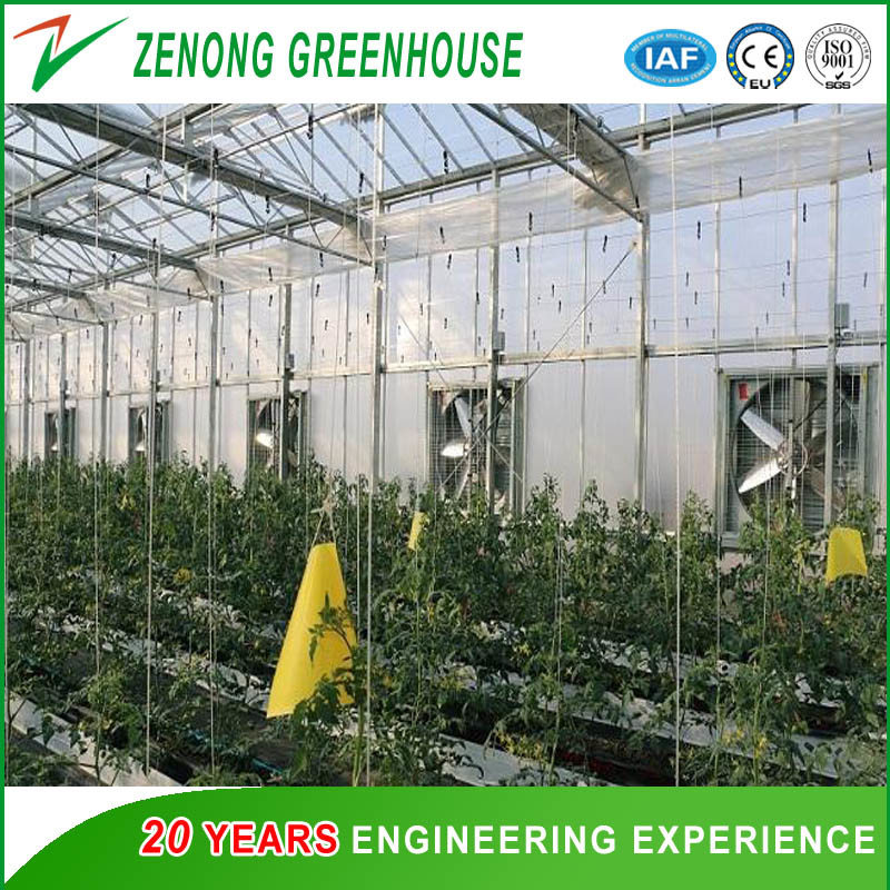 Greenhouse Cooling System Greenhouse Exhaust Fan