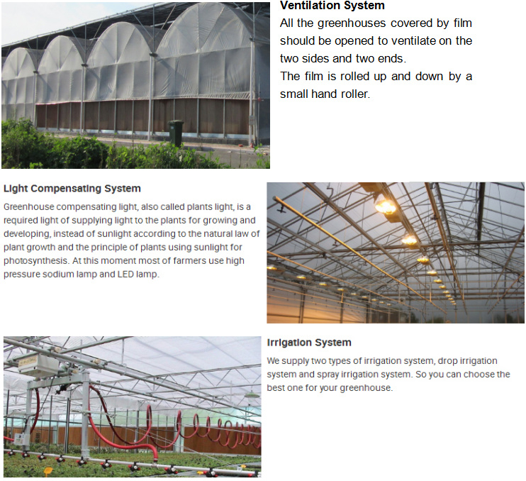 Hydroponic Growing Systems Greenhouse Film Farming Agricultural Greenhouses