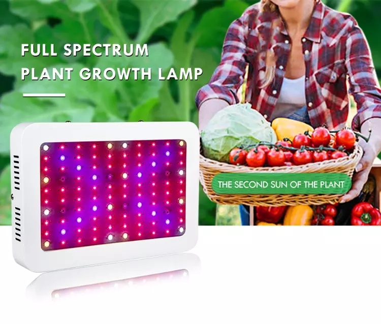 300 Watt Full Spectrum Best Lights Fixture for Indoor Growing Plant LED Grow Light