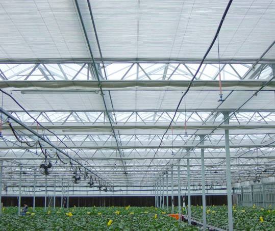 Multi-Span Plastic Film Greenhouse Tomato Greenhouse and Strawberry Greenhouse