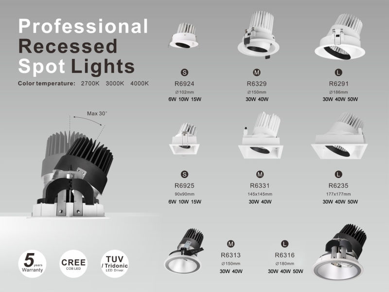 Anti-Glare Rotateble Professional Indoor Lighting COB LED LED Spot Light