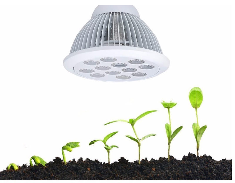 LED Grow Light for Houseplants Flowering and Fruiting Plants