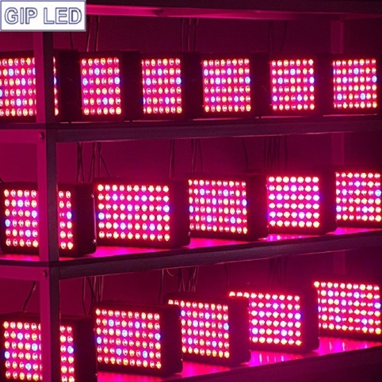 Gip 600W LED Grow Light Full Spectrum for Vegetables