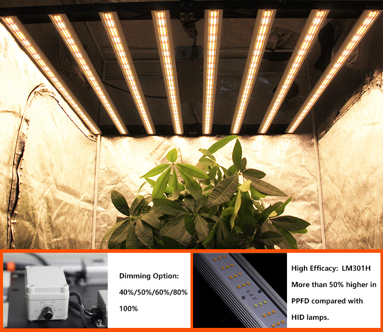 High Lumen Full Spectrum Hydroponics 640W LED Grow Light, 1000W LED Grow Light