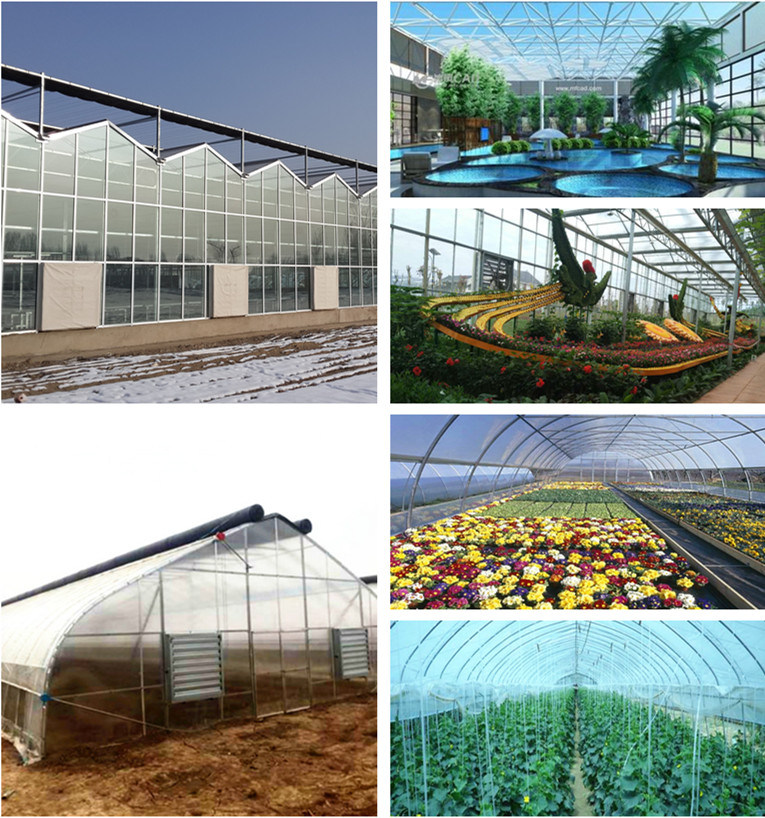 Multi Span Agricultural Film Greenhouse Tomato Greenhouse Strawberry Greenhouse