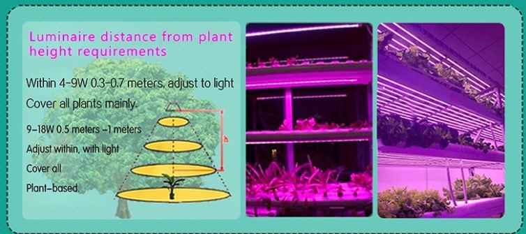 China Supplier Hydroponic Lighting Red and Blue 15W 900mm T8 Tube LED Grow Light for Medical Plant