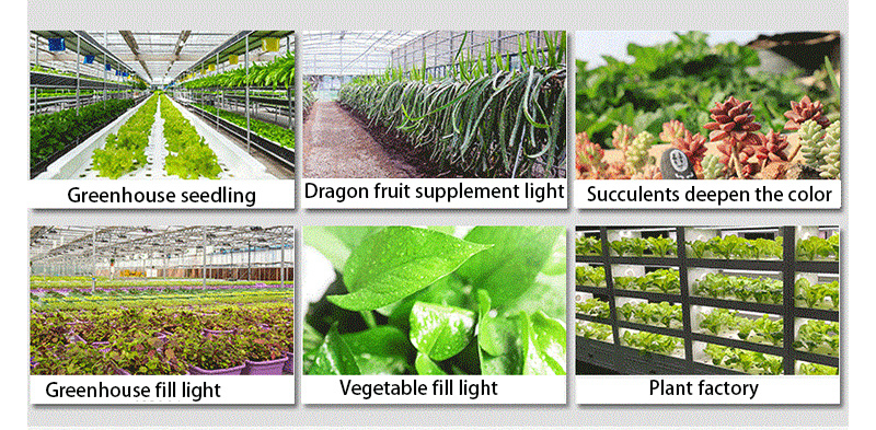 Active Grow T5 High Output LED Grow Light Tubes