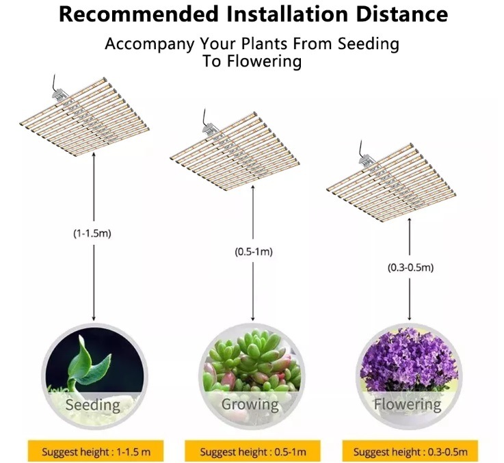 240W LED Full Spectrum Meanwell Driver Samsung Lm301b Growth Light Bar LED Grow Light for Indoor Plants