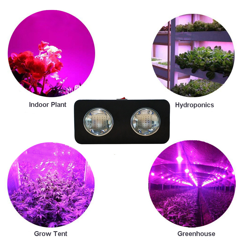 252W COB Full Spectrum LED Plant Grow Light for Hydroponics System