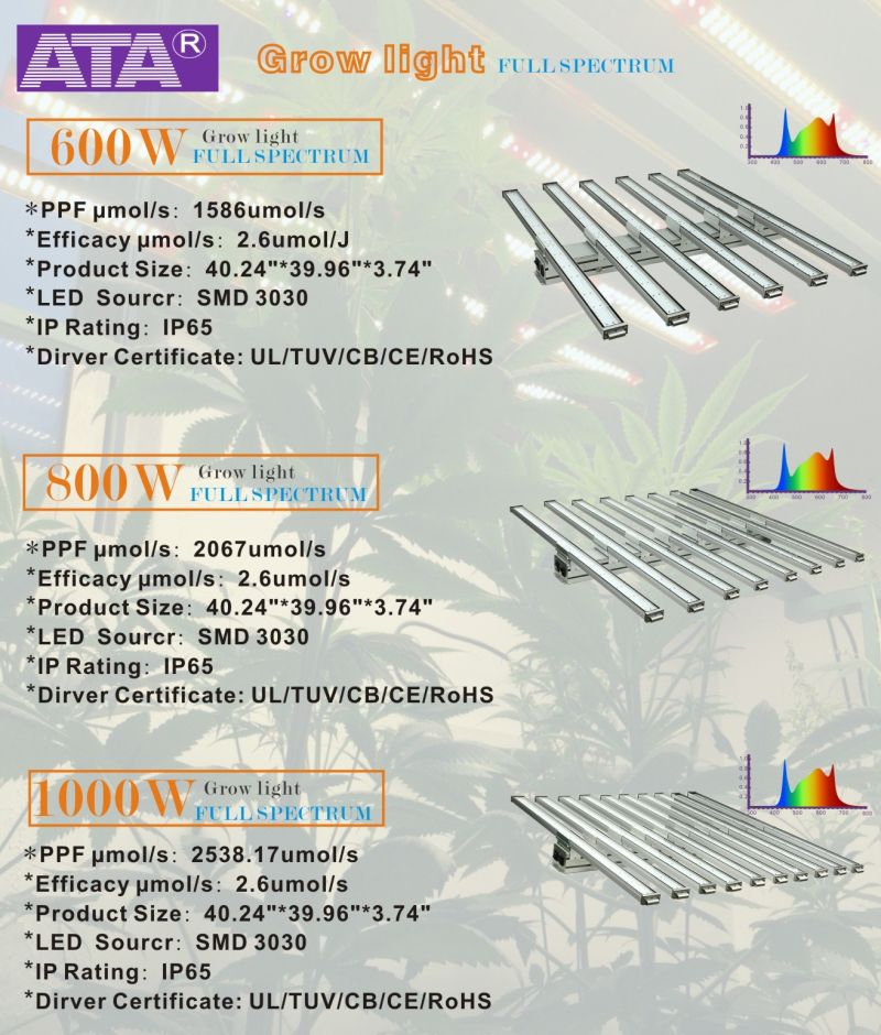 ATA Full Spectrum&Red Blue Ratio LED Grow Light Full Spectrum LED Grow Light 800W LED Grow Light