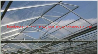 Agriculture Multi Span Polycarbonate Sheet Green House with Hydroponics