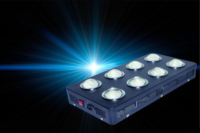 New COB Lamp Light LED Grow Light for Vagetable Lettuce