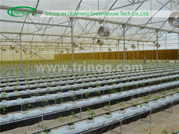 Wholesale completed Commercial Hydroponics Hydroponic Growing System