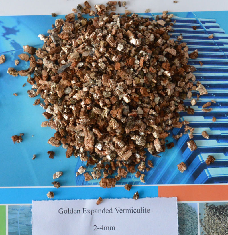 Professional Factory Manufacturing Expanded Golden and Silvery Vermiculite for Horticultural Fertilizer Soil Improvement