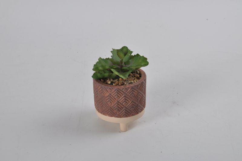 Different Styles Succulent Plant Artificial Plants Flowers with Ceramic Pot