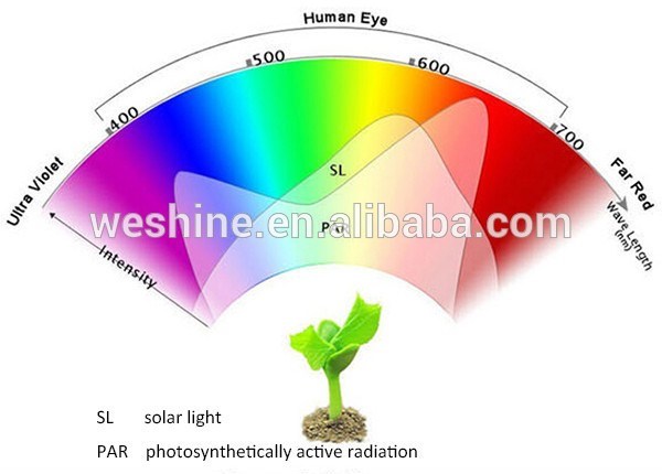 PAR38 12W LED Grow Lamp for Family Plant Bonsai Grow Light