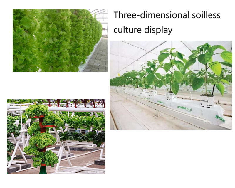 Multi-Span Film Greenhouse with Hydroponics Growing Soilless Cultivation System