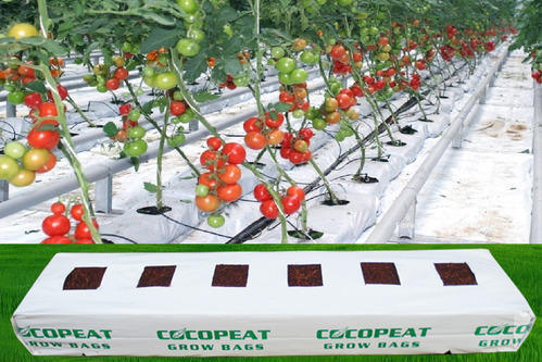 Hydroponics Cocopeat Grow Bags Slabs for Pepper Grow Bags Coco Peat Block