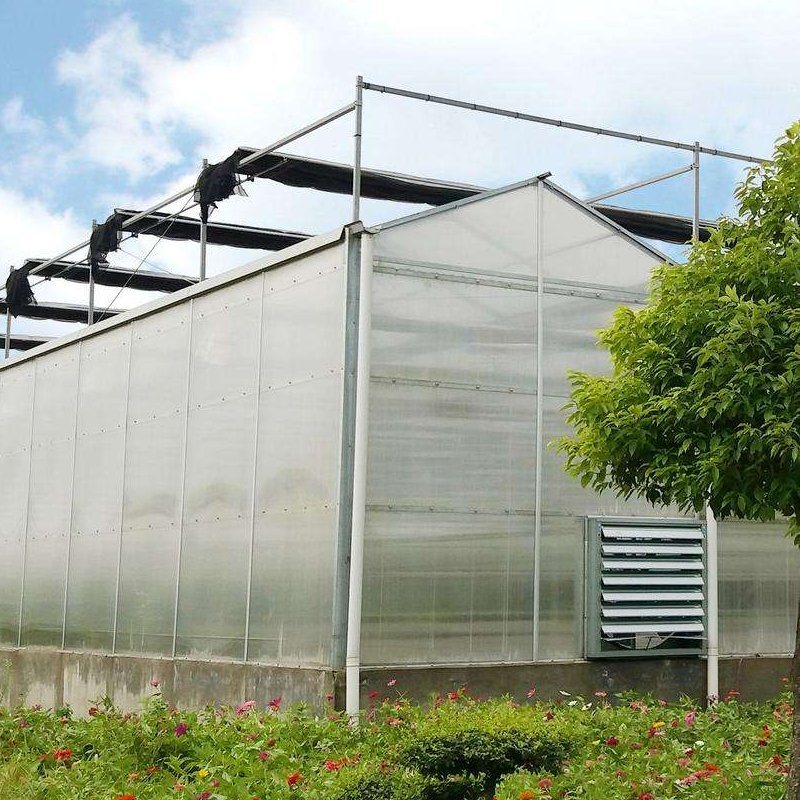 Good Quality Tomato Greenhouse Greenhouse Plastic Polycarbonate Greenhouse