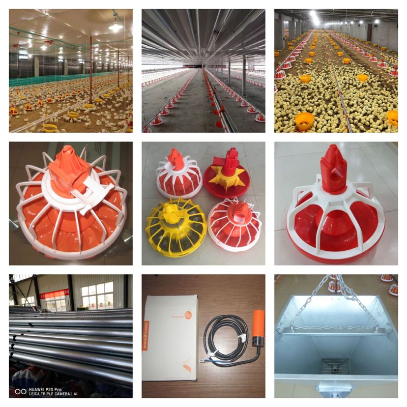 Automatic Poultry Pan Feeding Line Equipment for Brolier, Layer and Breeders