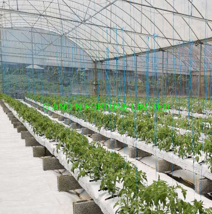 Hydroponics Tomato Grow Bag Cocopeat System for Horticultural Greenhouse