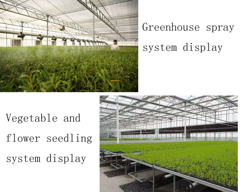 Multi-Span Film Greenhouse with Hydroponics Growing Soilless Cultivation System