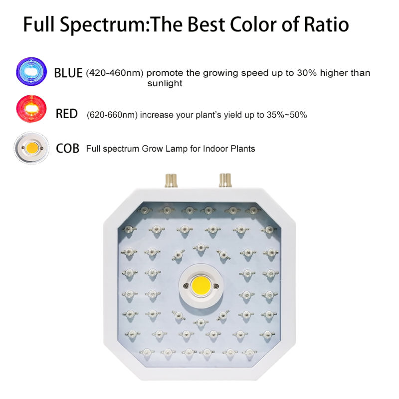 1500W Full Spectrum COB Indoor LED Plants Hydroponics Grow Lights for Indoor Plant