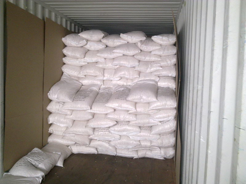 Snow White Pumpkin Seeds for Exporting