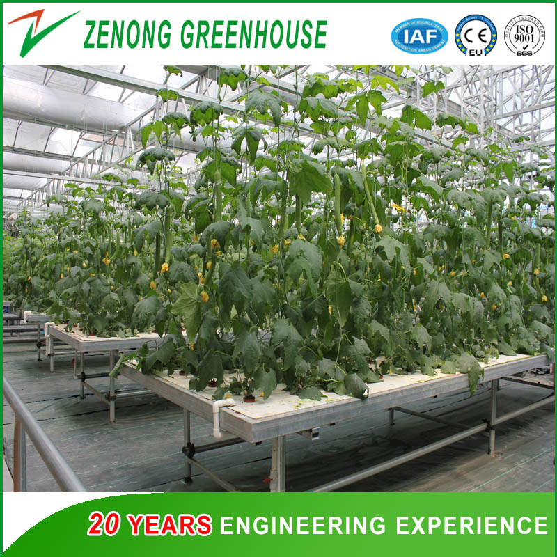 Commercial Soilless Cultivation Nft Hydroponic System Kinds of Hydroponic Equipment