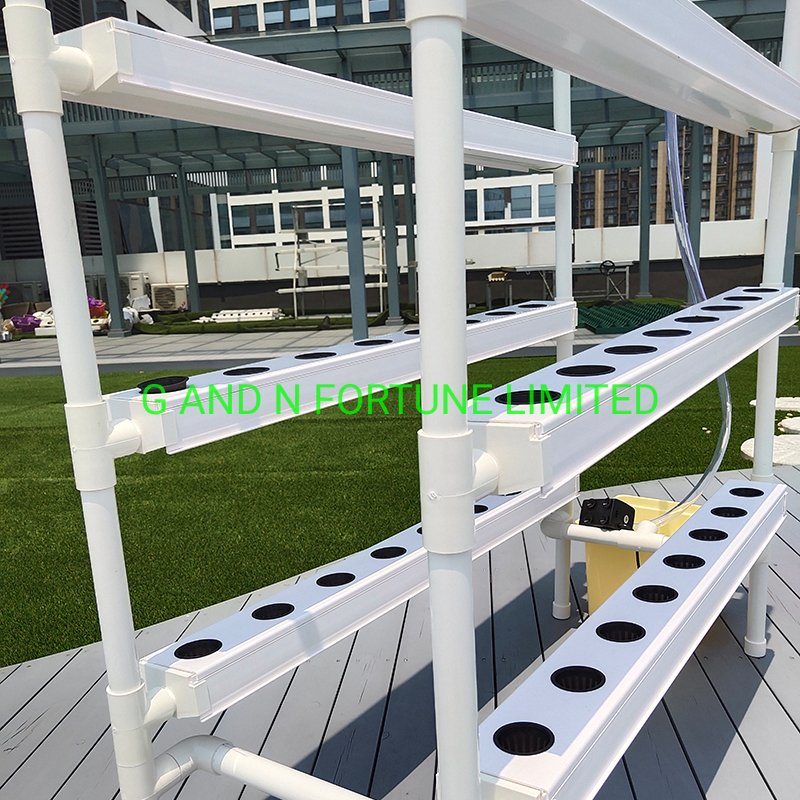 Vertical Garden Hydroponic Vegetable Growing System