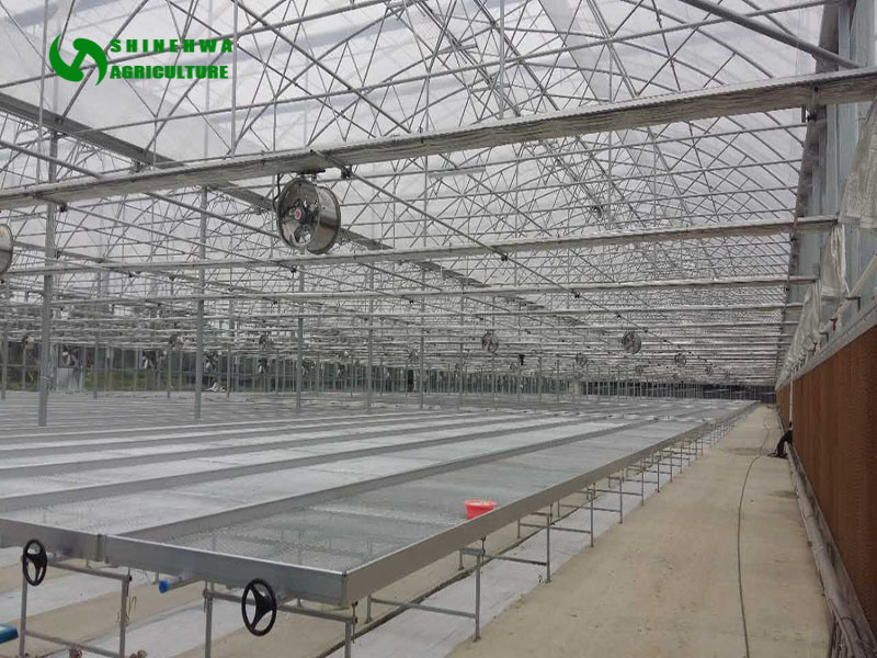 China Factory Greenhouse Ventilation Exhaust Fan