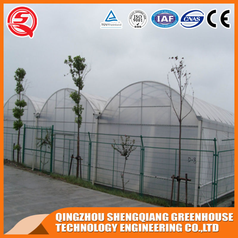 Agricultural Hydroponics Growing System Plant Garden Greenhouse for Sale