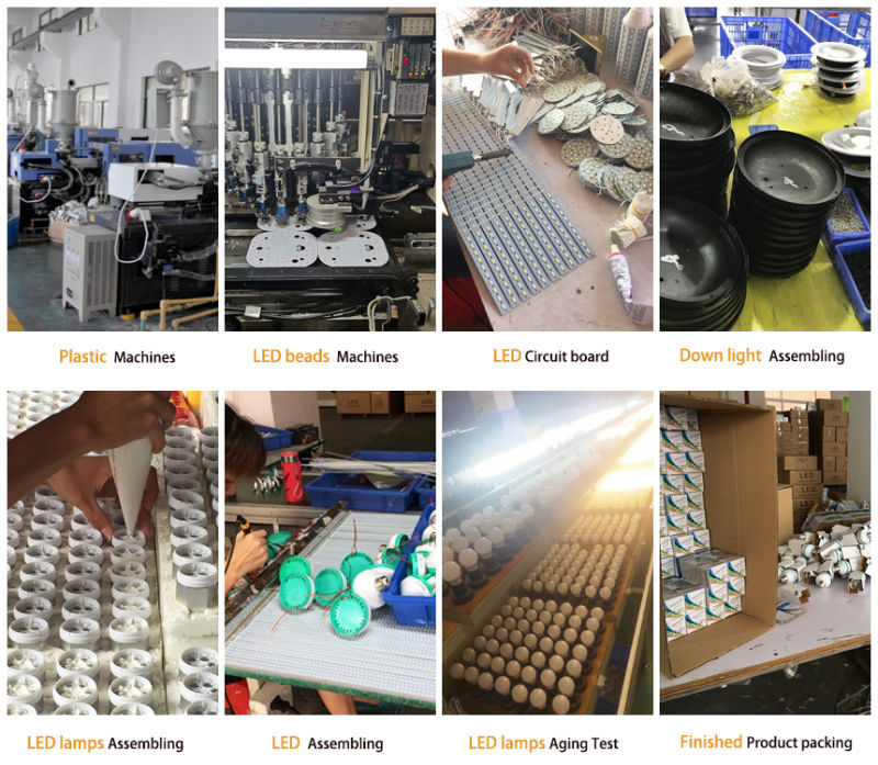 5W LED Light Bulb LED The Lamp LED Lighting Bulb