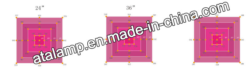 600W/800W/1000W Full Spectrum 3000K COB LED Grow Light for Veg Flowering Warehouse Cultivation