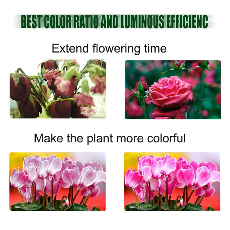 China Grow LED Lights LED Grow Light Panel IP65 Waterproof Full Spectrum Quantum LED Board Grow Light