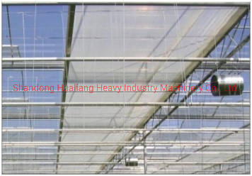 Agriculture Multi Span Polycarbonate Sheet Green House with Hydroponics