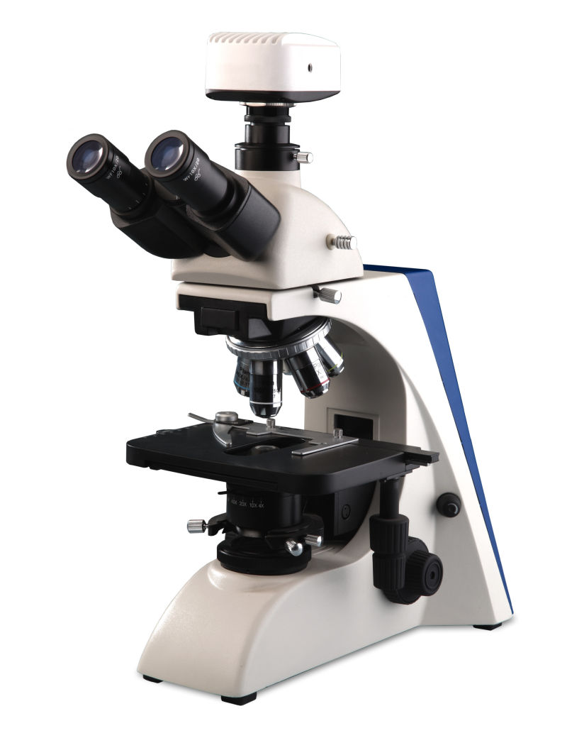 Professional Manufacture China a Level Biology Microscopes