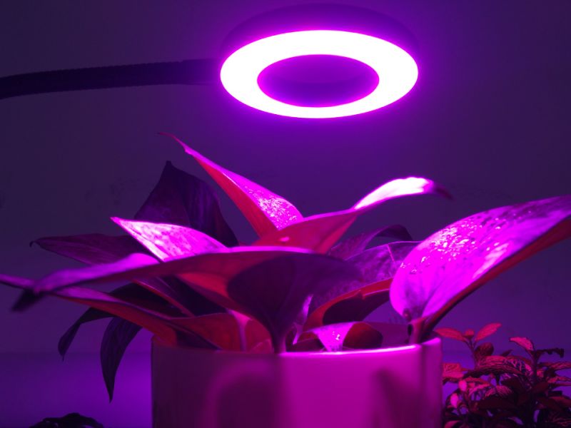 LED Clip Plant Lights Fill Light Dimming Color Separation Cycle Timing Clips Plant Lights